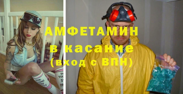 сатива Алексеевка